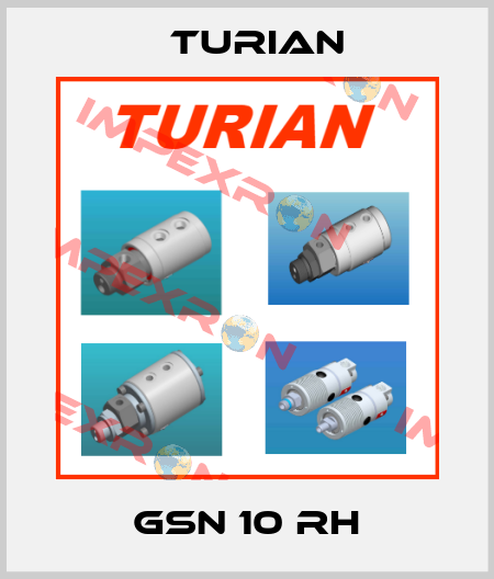 GSN 10 RH Turian