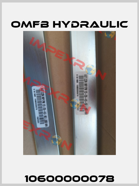 10600000078 OMFB Hydraulic