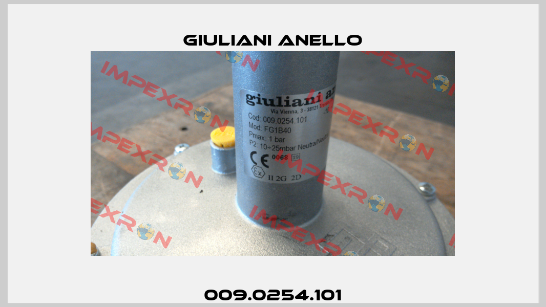 009.0254.101 Giuliani Anello